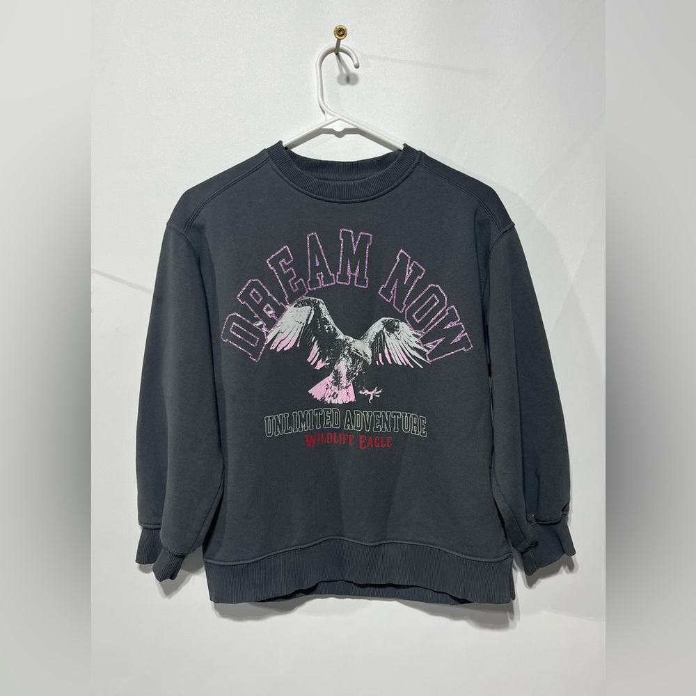 Zara Dream‎ Now Grey Sweatshirt with Pink Graphic Girls Size 9/10 NWOT